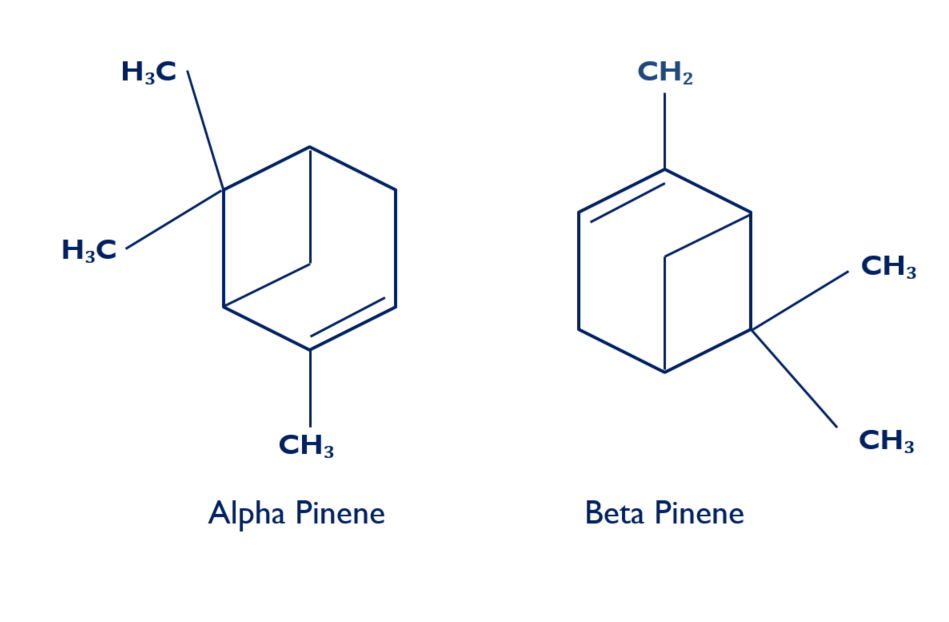 Types of aroma chemicals Value Educator